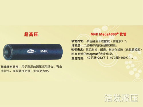 进口软管4